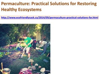 Permaculture: Practical Solutions for Restoring
Healthy Ecosystems
http://www.ecofriendlysask.ca/2014/09/permaculture-prac...