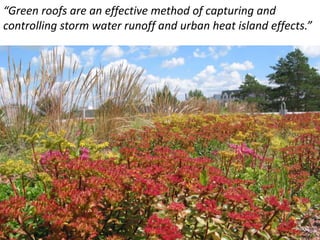 “Green roofs are an effective method of capturing and
controlling storm water runoff and urban heat island effects.”
 