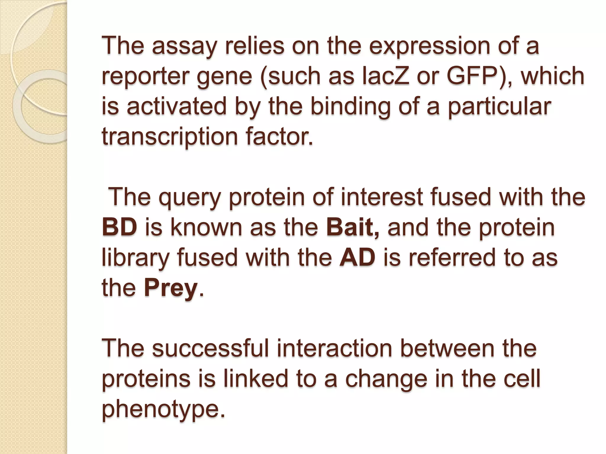 The assay relies on the expression of a
reporter gene (such as lacZ or GFP), which
is activated by the binding of a particular
transcription factor.
The query protein of interest fused with the
BD is known as the Bait, and the protein
library fused with the AD is referred to as
the Prey.
The successful interaction between the
proteins is linked to a change in the cell
phenotype.
 
