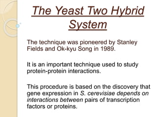 The Yeast Two Hybrid
System
The technique was pioneered by Stanley
Fields and Ok-kyu Song in 1989.
It is an important technique used to study
protein-protein interactions.
This procedure is based on the discovery that
gene expression in S. cerevisiae depends on
interactions between pairs of transcription
factors or proteins.
 