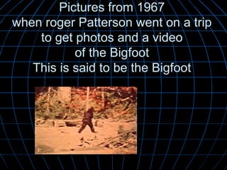 PPiiccttuurreess ffrroomm 11996677 
wwhheenn rrooggeerr PPaatttteerrssoonn wweenntt oonn aa ttrriipp 
ttoo ggeett pphhoottooss aanndd aa vviiddeeoo 
ooff tthhee BBiiggffoooott 
TThhiiss iiss ssaaiidd ttoo bbee tthhee BBiiggffoooott 
 