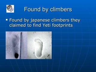 FFoouunndd bbyy cclliimmbbeerrss 
 FFoouunndd bbyy jjaappaanneessee cclliimmbbeerrss tthheeyy 
ccllaaiimmeedd ttoo ffiinndd YYeettii ffoooottpprriinnttss 
 