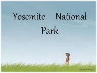 Yosemite National 
Park 
 