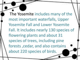The Yosemite includes many of the 
most important waterfalls, Upper 
Yosemite Fall and Lower Yosemite 
Fall. It includes nearly 130 species of 
flowering plants and about 31 
species of trees, including pine 
forests ,cedar, and also contains 
about 220 species of birds. 
 
