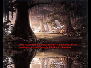 Love is comfort in sorrow, silence in the noise, rest in weariness, hope in despair. (Marion C. Garretty) 