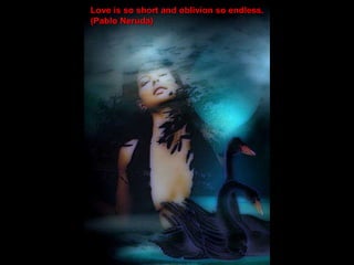 Love is so short and oblivion so endless. (Pablo Neruda) 