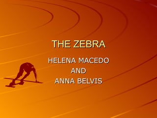THE ZEBRA HELENA MACEDO AND ANNA BELVIS 