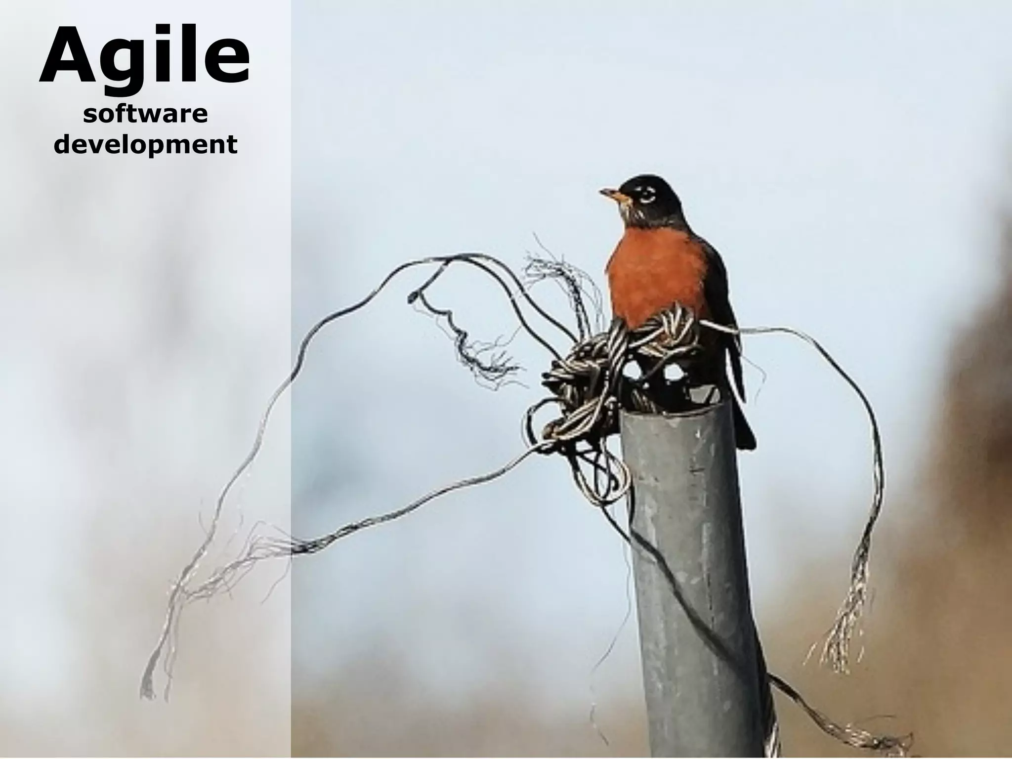 Agile
  software
development
 