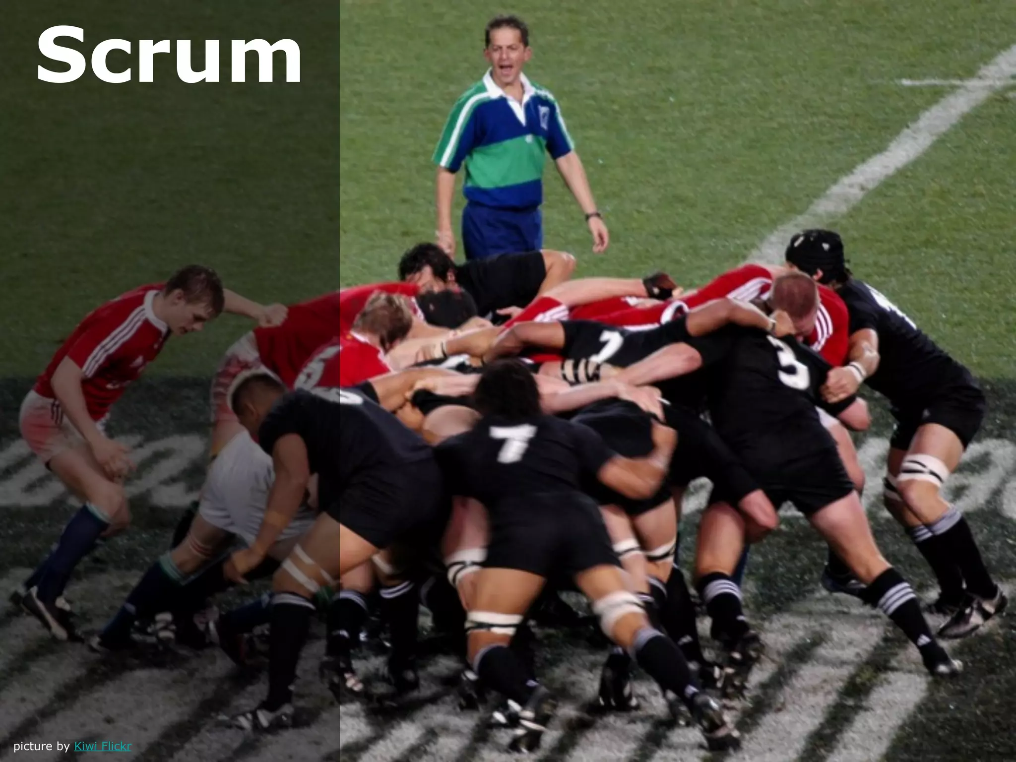 Scrum




picture by Kiwi Flickr
 