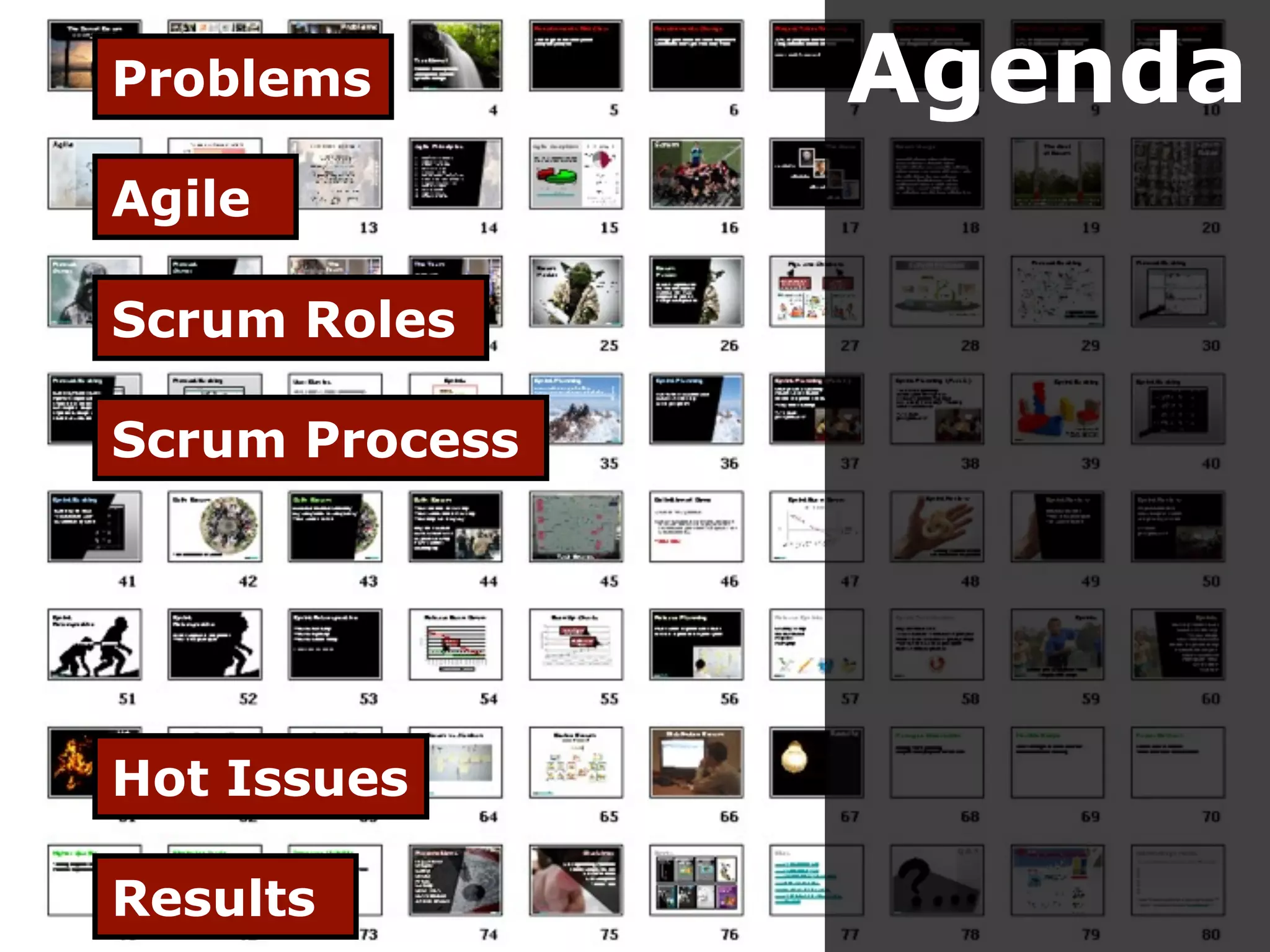 Problems        Agenda
Agile

Scrum Roles

Scrum Process




Hot Issues

Results
 
