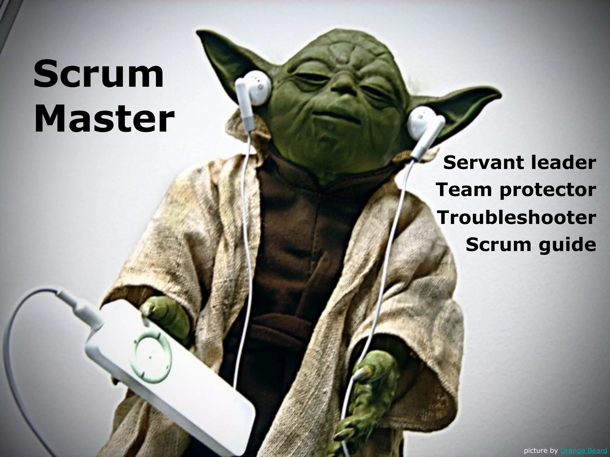 Scrum
Master
          Servant leader
         Team protector
         Troubleshooter
            Scrum guide




                 picture by Orange Beard
 