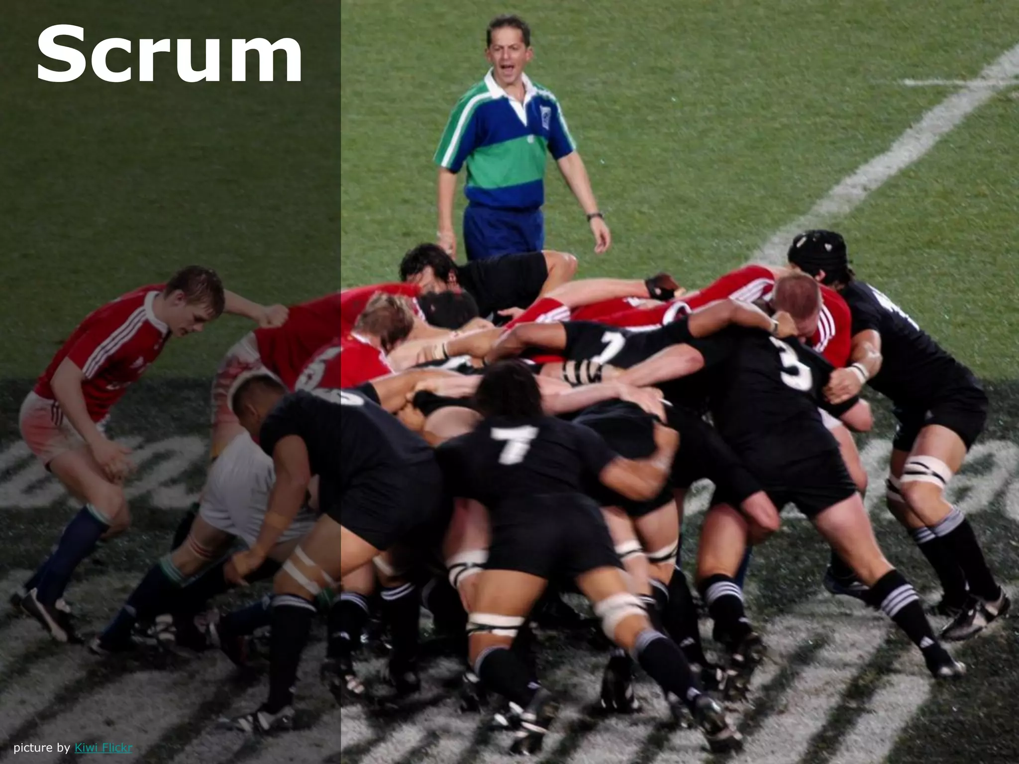 Scrum
picture by Kiwi Flickr
 