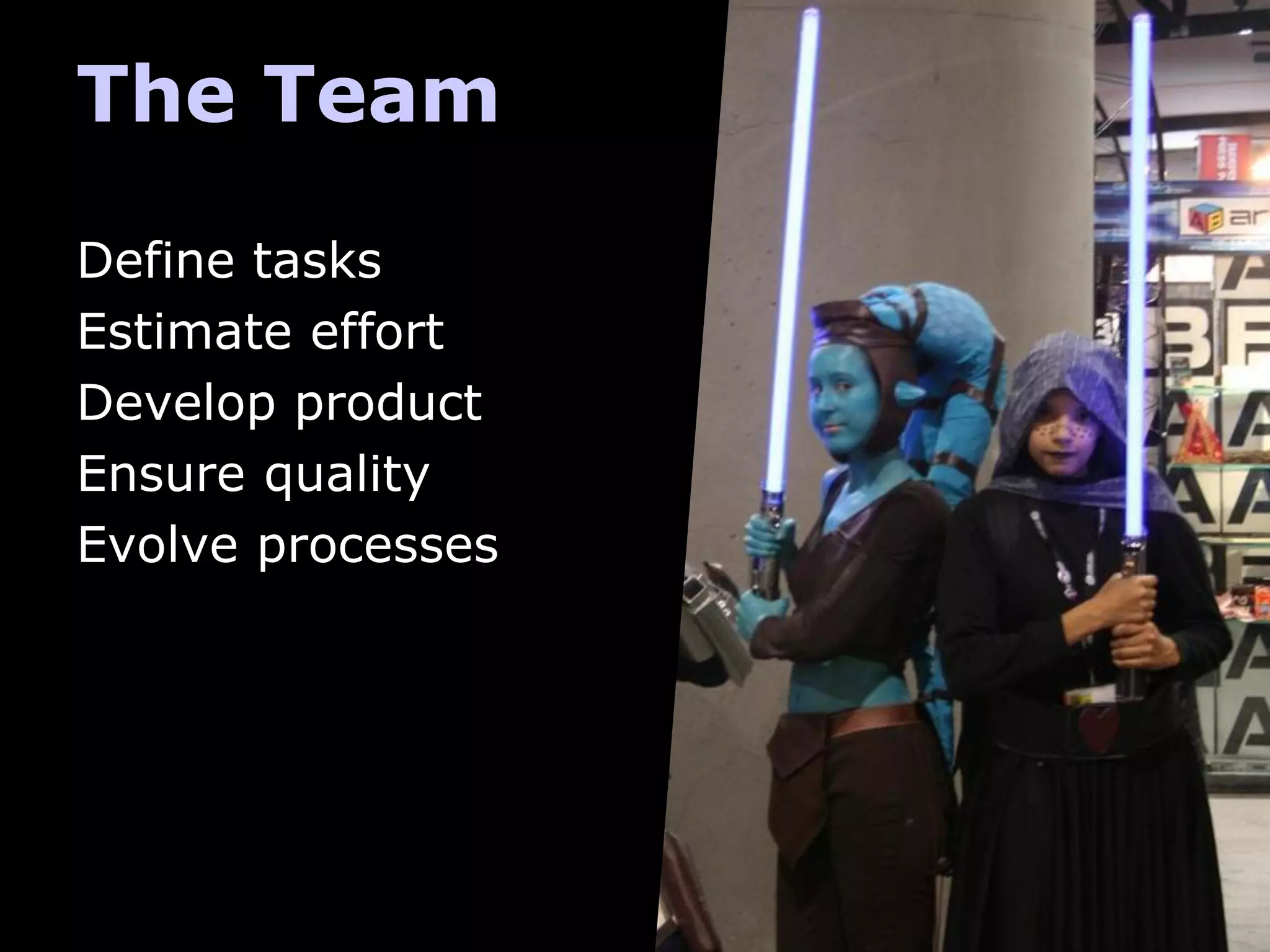 The Team
Define tasks
Estimate effort
Develop product
Ensure quality
Evolve processes
 