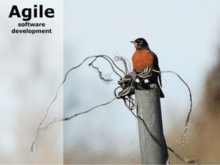 Agile
  software
development
 