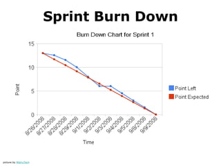 Sprint Burn Down




picture by NibiruTech
 