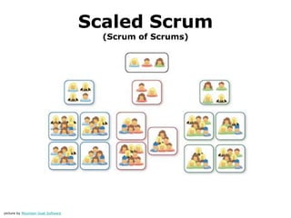 Scaled Scrum
                                      (Scrum of Scrums)




picture by Mountain Goat Software
 