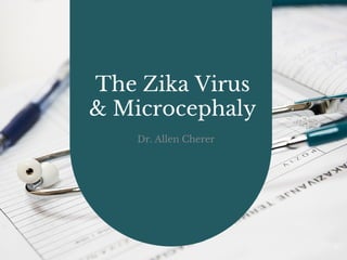 The Zika Virus
& Microcephaly
Dr. Allen Cherer
 