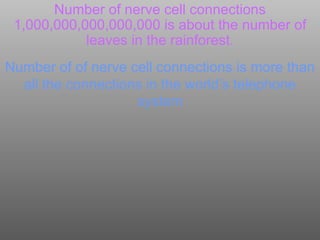 The Zobin Method | PPT
