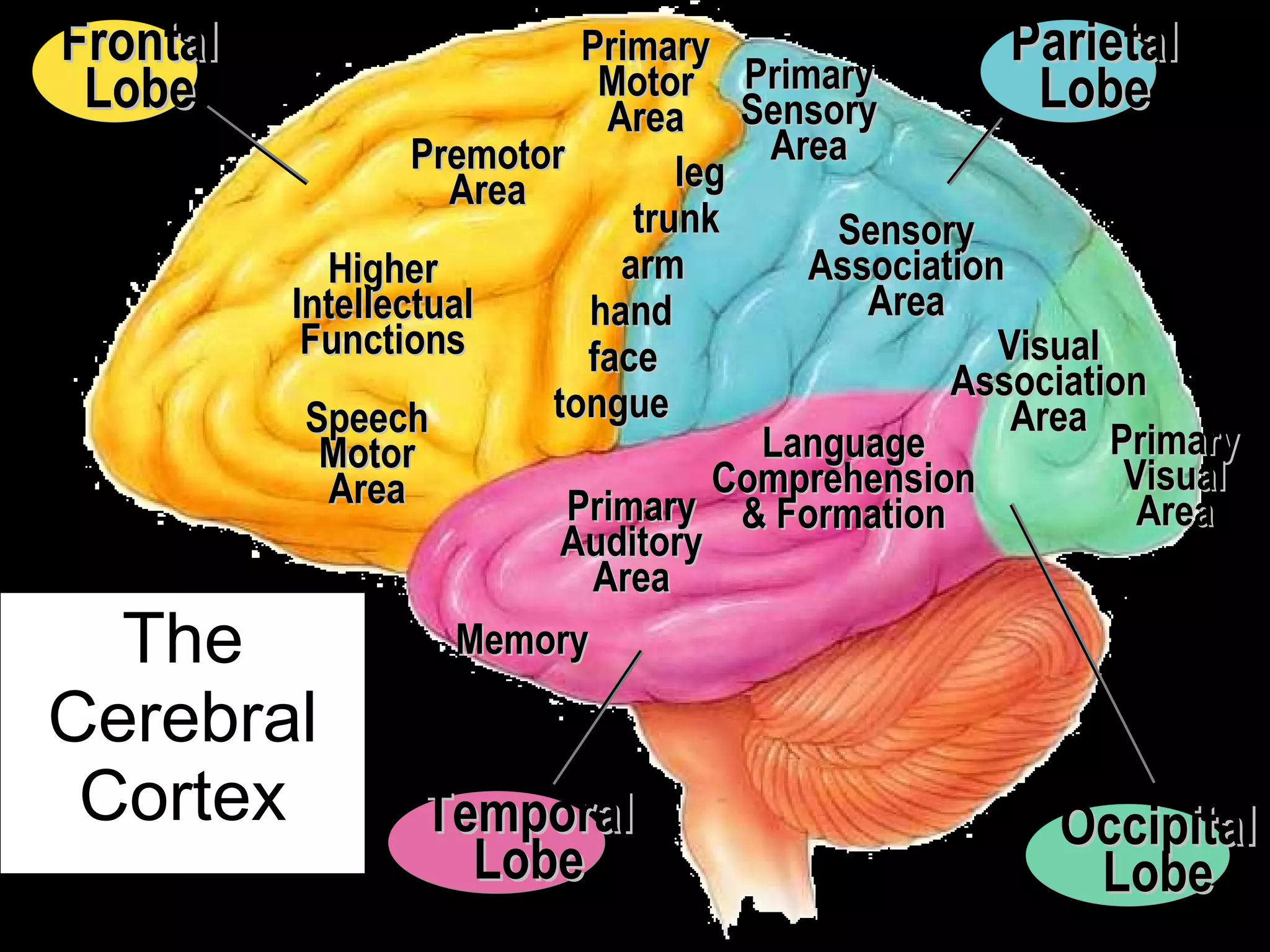 The Zobin Method | PPT