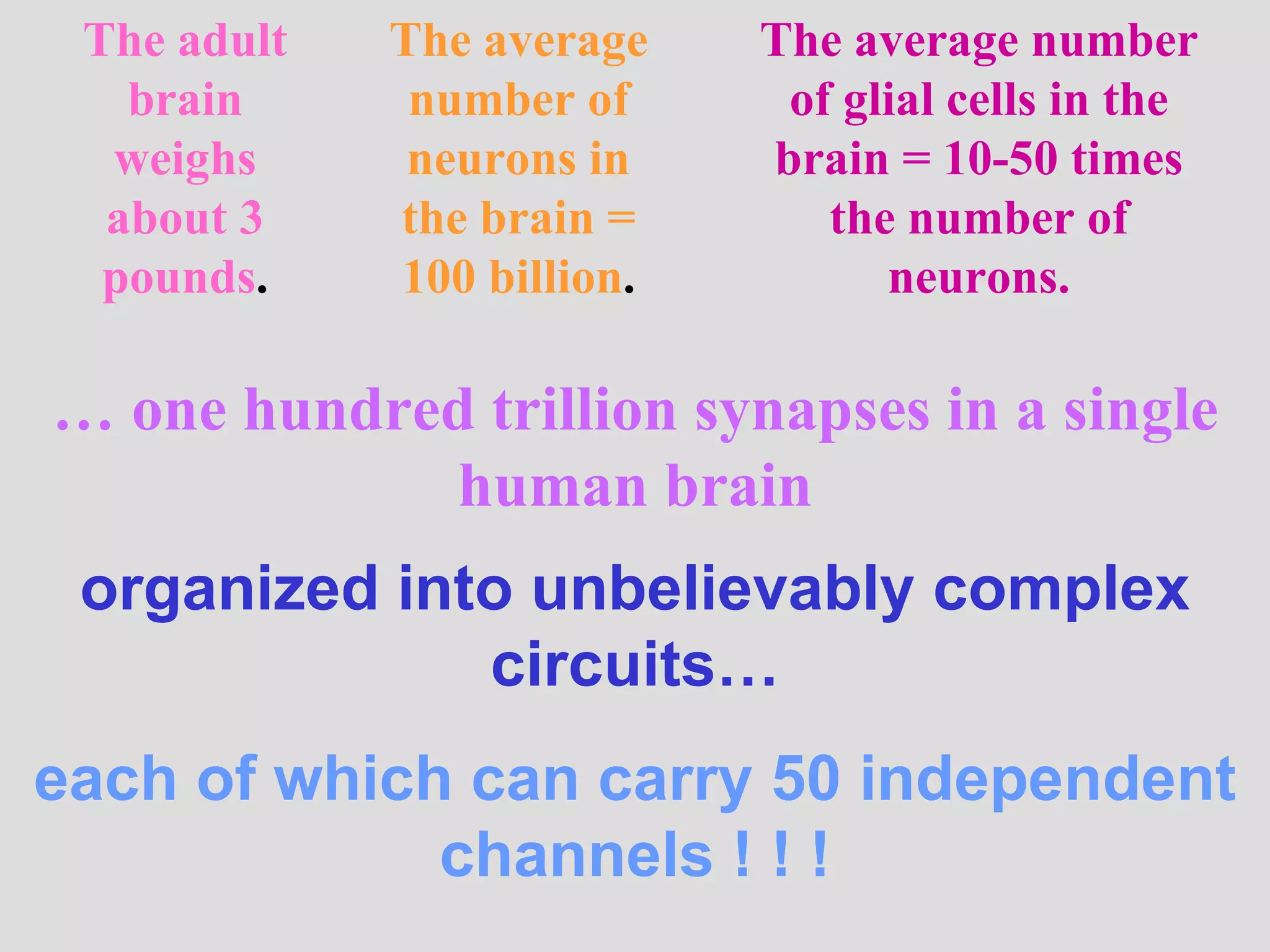The Zobin Method | PPT