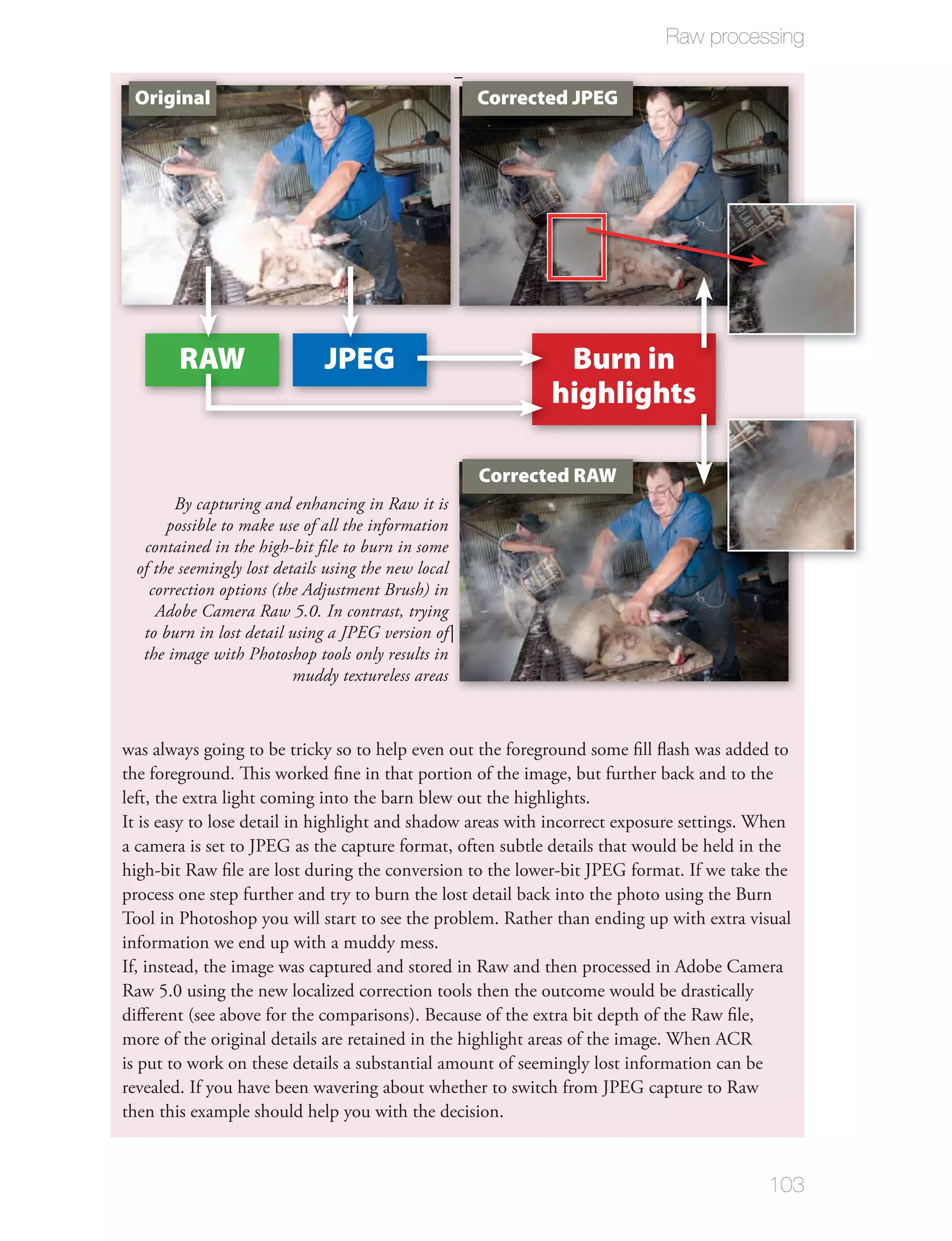 Raw processing

 Original                                             Corrected JPEG




        RAW                    JPEG                           Burn in
                                                             highlights

                                                      Corrected RAW
        By capturing and enhancing in Raw it is
       possible to make use of all the information
   contained in the high-bit ﬁle to burn in some
  of the seemingly lost details using the new local
    correction options (the Adjustment Brush) in
     Adobe Camera Raw 5.0. In contrast, trying
   to burn in lost detail using a JPEG version of
   the image with Photoshop tools only results in
                           muddy textureless areas



was always going to be tricky so to help even out the foreground some ﬁll ﬂash was added to
the foreground. This worked ﬁne in that portion of the image, but further back and to the
left, the extra light coming into the barn blew out the highlights.
It is easy to lose detail in highlight and shadow areas with incorrect exposure settings. When
a camera is set to JPEG as the capture format, often subtle details that would be held in the
high-bit Raw ﬁle are lost during the conversion to the lower-bit JPEG format. If we take the
process one step further and try to burn the lost detail back into the photo using the Burn
Tool in Photoshop you will start to see the problem. Rather than ending up with extra visual
information we end up with a muddy mess.
If, instead, the image was captured and stored in Raw and then processed in Adobe Camera
Raw 5.0 using the new localized correction tools then the outcome would be drastically
diﬀerent (see above for the comparisons). Because of the extra bit depth of the Raw ﬁle,
more of the original details are retained in the highlight areas of the image. When ACR
is put to work on these details a substantial amount of seemingly lost information can be
revealed. If you have been wavering about whether to switch from JPEG capture to Raw
then this example should help you with the decision.


                                                                                          103
 