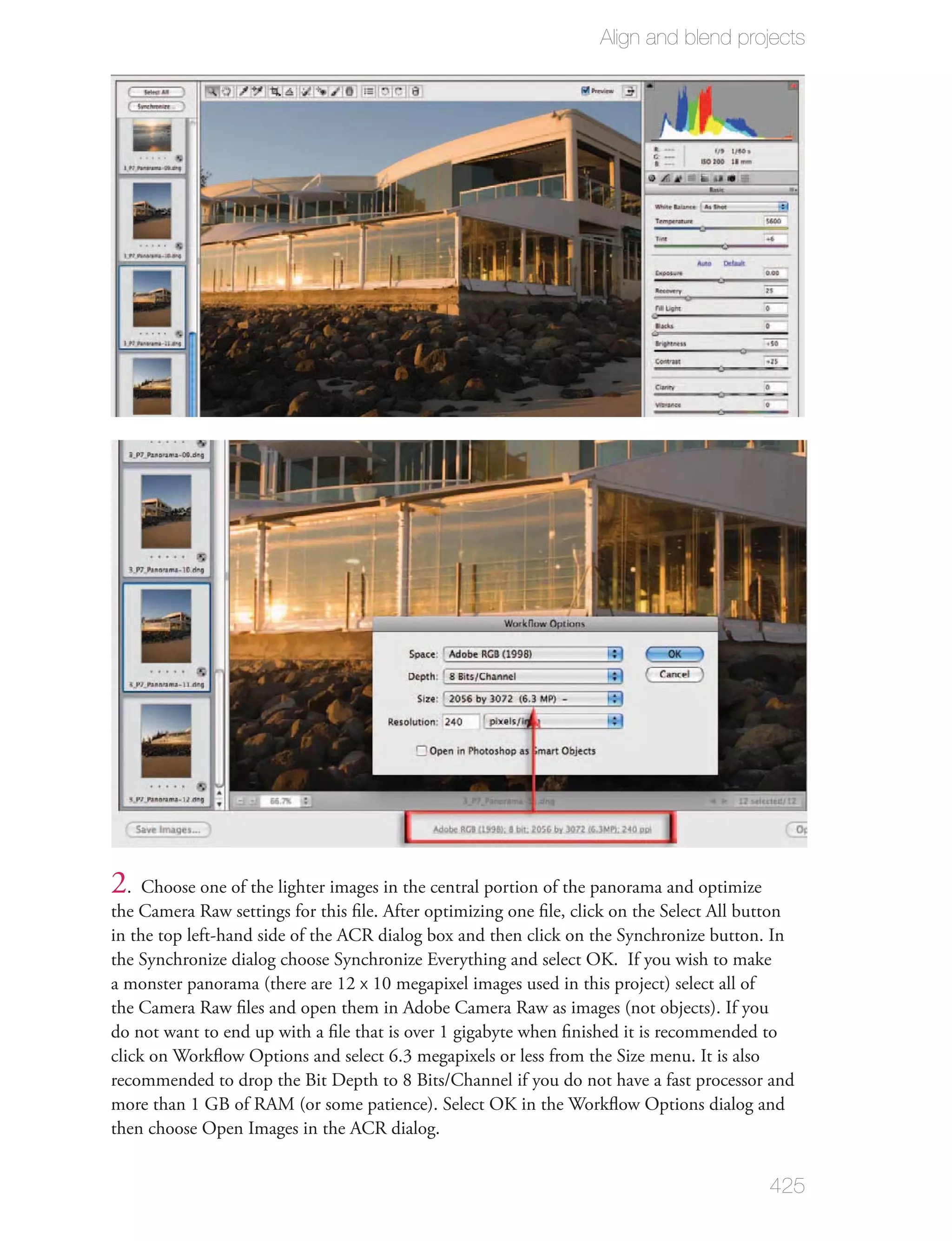 Align and blend projects




2. Choose one of the lighter images in the central portion of the panorama and optimize
the Camera Raw settings for this ﬁle. After optimizing one ﬁle, click on the Select All button
in the top left-hand side of the ACR dialog box and then click on the Synchronize button. In
the Synchronize dialog choose Synchronize Everything and select OK. If you wish to make
a monster panorama (there are 12 x 10 megapixel images used in this project) select all of
the Camera Raw ﬁles and open them in Adobe Camera Raw as images (not objects). If you
do not want to end up with a ﬁle that is over 1 gigabyte when ﬁnished it is recommended to
click on Workﬂow Options and select 6.3 megapixels or less from the Size menu. It is also
recommended to drop the Bit Depth to 8 Bits/Channel if you do not have a fast processor and
more than 1 GB of RAM (or some patience). Select OK in the Workﬂow Options dialog and
then choose Open Images in the ACR dialog.


                                                                                          425
 