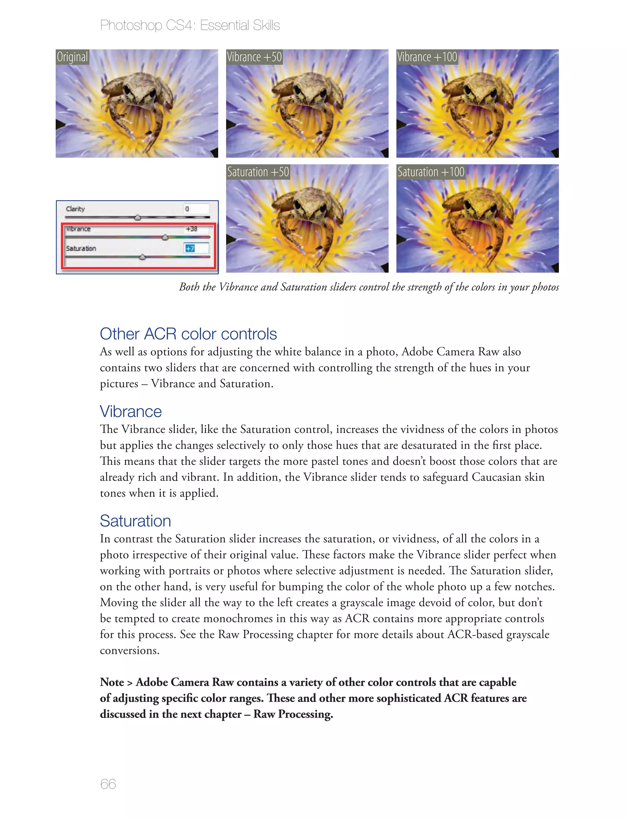 Photoshop CS4: Essential Skills

Original                              Vibrance +50                            Vibrance +100




                                      Saturation +50                          Saturation +100




                           Both the Vibrance and Saturation sliders control the strength of the colors in your photos



           Other ACR color controls
           As well as options for adjusting the white balance in a photo, Adobe Camera Raw also
           contains two sliders that are concerned with controlling the strength of the hues in your
           pictures – Vibrance and Saturation.

           Vibrance
           The Vibrance slider, like the Saturation control, increases the vividness of the colors in photos
           but applies the changes selectively to only those hues that are desaturated in the ﬁrst place.
           This means that the slider targets the more pastel tones and doesn’t boost those colors that are
           already rich and vibrant. In addition, the Vibrance slider tends to safeguard Caucasian skin
           tones when it is applied.

           Saturation
           In contrast the Saturation slider increases the saturation, or vividness, of all the colors in a
           photo irrespective of their original value. These factors make the Vibrance slider perfect when
           working with portraits or photos where selective adjustment is needed. The Saturation slider,
           on the other hand, is very useful for bumping the color of the whole photo up a few notches.
           Moving the slider all the way to the left creates a grayscale image devoid of color, but don’t
           be tempted to create monochromes in this way as ACR contains more appropriate controls
           for this process. See the Raw Processing chapter for more details about ACR-based grayscale
           conversions.

           Note > Adobe Camera Raw contains a variety of other color controls that are capable
           of adjusting speciﬁc color ranges. These and other more sophisticated ACR features are
           discussed in the next chapter – Raw Processing.




           66
 