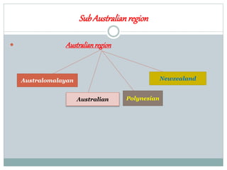 SubAustralianregion
 Australianregion
Australomalayan
Australian Polynesian
Newzealand
 