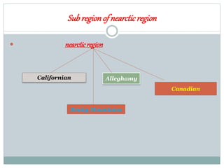 Subregionof nearcticregion
 nearcticregion
Californian
Rocky Mountains
Alleghamy
Canadian
 