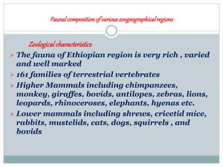 Faunalcompositionof variouszoogeographicalregions
Zoologicalcharacteristics
 The fauna of Ethiopian region is very rich , varied
and well marked
 161 families of terrestrial vertebrates
 Higher Mammals including chimpanzees,
monkey, giraffes, bovids, antilopes, zebras, lions,
leopards, rhinoceroses, elephants, hyenas etc.
 Lower mammals including shrews, cricetid mice,
rabbits, mustelids, cats, dogs, squirrels , and
bovids
 