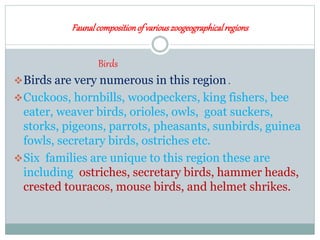Faunalcompositionof variouszoogeographicalregions
Birds
Birds are very numerous in this region .
Cuckoos, hornbills, woodpeckers, king fishers, bee
eater, weaver birds, orioles, owls, goat suckers,
storks, pigeons, parrots, pheasants, sunbirds, guinea
fowls, secretary birds, ostriches etc.
Six families are unique to this region these are
including ostriches, secretary birds, hammer heads,
crested touracos, mouse birds, and helmet shrikes.
 