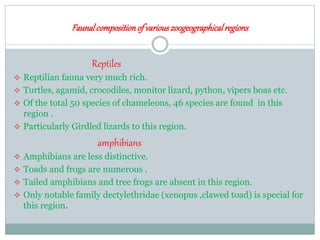 Faunalcompositionof variouszoogeographicalregions
Reptiles
 Reptilian fauna very much rich.
 Turtles, agamid, crocodiles, monitor lizard, python, vipers boas etc.
 Of the total 50 species of chameleons, 46 species are found in this
region .
 Particularly Girdled lizards to this region.
amphibians
 Amphibians are less distinctive.
 Toads and frogs are numerous .
 Tailed amphibians and tree frogs are absent in this region.
 Only notable family dectylethridae (xenopus ,clawed toad) is special for
this region.
 