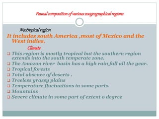 Faunalcompositionof variouszoogeographicalregions
Neotropicalregion
It includes south America ,most of Mexico and the
West indies.
Climate
 This region is mostly tropical but the southern region
extends into the south temperate zone.
 The Amazon river basin has a high rain fall all the year.
 Tropical forests
 Total absence of deserts .
 Treeless grassy plains
 Temperature fluctuations in some parts.
 Mountains
 Severe climate in some part of extent o degree
 