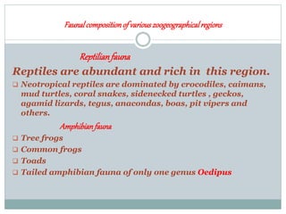 Faunalcompositionof variouszoogeographicalregions
Reptilianfauna
Reptiles are abundant and rich in this region.
 Neotropical reptiles are dominated by crocodiles, caimans,
mud turtles, coral snakes, sidenecked turtles , geckos,
agamid lizards, tegus, anacondas, boas, pit vipers and
others.
Amphibianfauna
 Tree frogs
 Common frogs
 Toads
 Tailed amphibian fauna of only one genus Oedipus
 