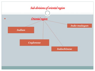 Subdivisionsof orientalregion
 Orientalregion
Indian
Ceylonese
Indochinese
Indo-malayan
 