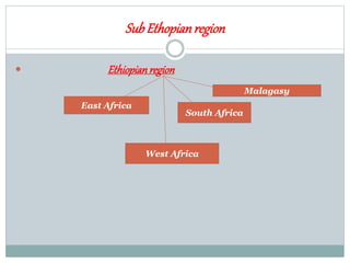 SubEthopianregion
 Ethiopianregion
East Africa
West Africa
South Africa
Malagasy
 