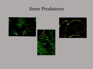 Seres Produtores
 