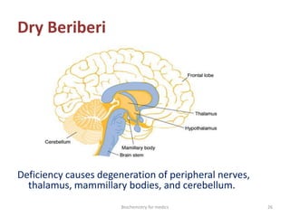 Dry Beriberi
Deficiency causes degeneration of peripheral nerves,
thalamus, mammillary bodies, and cerebellum.
26Biochemistry for medics
 