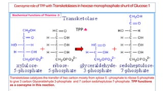 Tpp Function Thiamine and beriberi | PDF