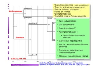 Anthroponose

Grandes épidémies + cas sporadiques
Pays en voie de développement
Eau de boisson (moussons)
R
F
Rares en France
Symptomatiques
Mortalité chez la femme enceinte

Evolution VHE

Pays industrialisés
Cas autochtones
Nourriture (eau ?)
Asymptomatique++
Zoonose

Séroprévalence croissante
avec âge

Graves sur hépatopathie
Pas de cas sévère chez femme
enceinte
Formes persistantes chez
l'immunodéprimé
Atteintes neurologiques (5.5%)
536 à 1344 ans
V.Thibault_janv.-14

Purdy MA, Khudyakov YE. Evolutionary history and population
dynamics of hepatitis e virus. PLoS One. 2010 Dec 17;5(12):e14376.43

 