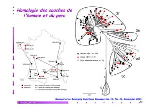 Homologie des souches de
l'homme et du porc
p

V.Thibault_janv.-14

Bouquet et al. Emerging Infectious Diseases Vol. 17, No. 11, November 2011
51

 