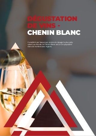 DÉGUSTATION
DE VINS -
CHENIN BLANC
Considéré par beaucoup comme le cépage le plus poly-
valent au monde, le Chenin Blanc est un vin populaire
dans de nombreuses régions.
 