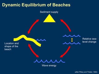 Dynamic Equilibrium of Beaches
Sediment supply

Relative sealevel change

Location and
shape of the
beach

Wave energy
(after Pilkey and Thieler, 1992)

 
