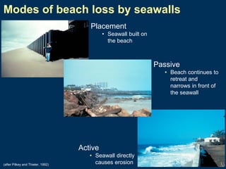 Modes of beach loss by seawalls
Placement
• Seawall built on
the beach

Passive
• Beach continues to
retreat and
narrows in front of
the seawall

Active
(after Pilkey and Thieler, 1992)

• Seawall directly
causes erosion

 