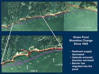 Green Pond
Shoreline Change
Since 1845

~130 ft
~550 ft

• Sediment supply
decreased
• Uplands armored,
beaches narrowed
• Barrier has
migrated into the
pond

 
