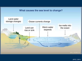 Land water
storage changes

Ocean currents change
Land can
rise or sink

Warm water
expands

Ice melts into
the ocean

(IPCC, 2001)

 