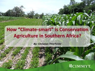 How “Climate-smart” is Conservation
Agriculture in Southern Africa?
By: Christian Thierfelder
 