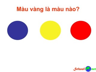Màu vàng là màu nào?
 