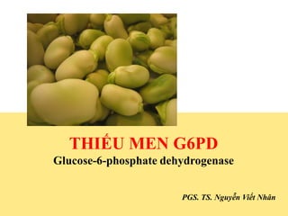 THIẾU MEN G6PD
Glucose-6-phosphate dehydrogenase


                       PGS. TS. Nguyễn Viết Nhân
 