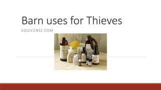 Barn uses for Thieves
EQUICENSE.COM

 
